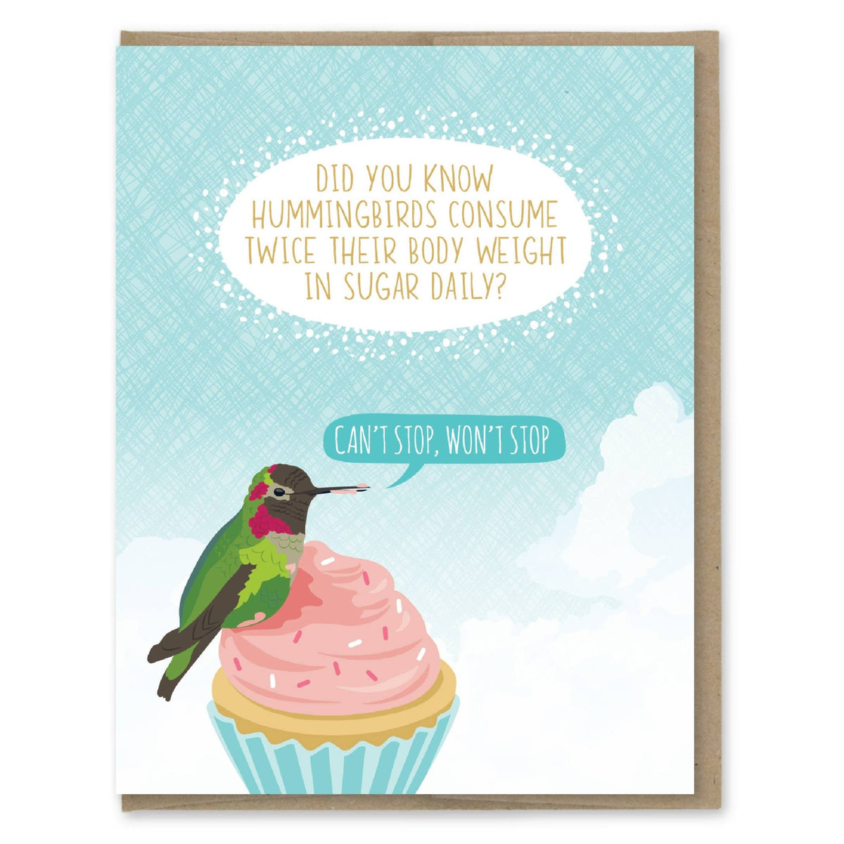 Hummingbird Sugar Birthday Card - Box Turtle