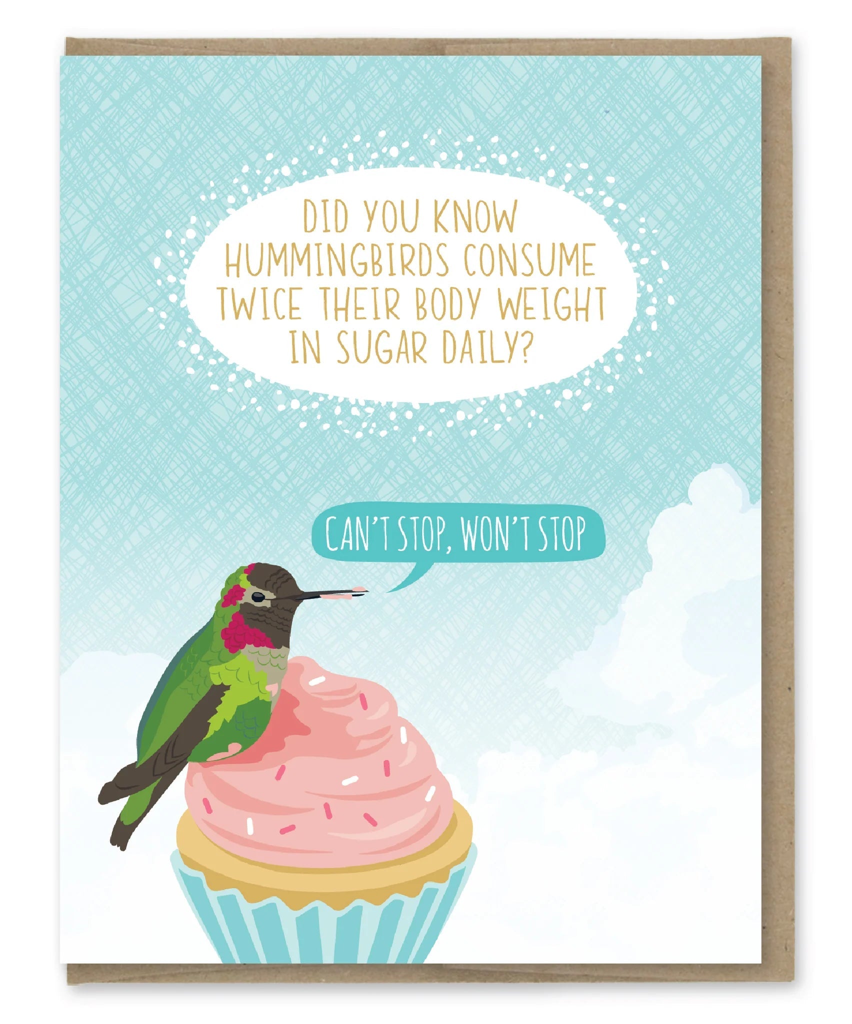 Hummingbird Sugar Birthday Card - Box Turtle