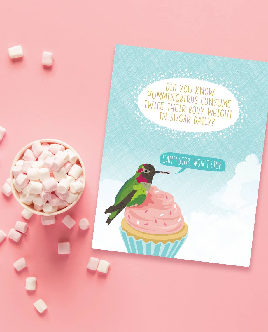 Hummingbird Sugar Birthday Card - Box Turtle