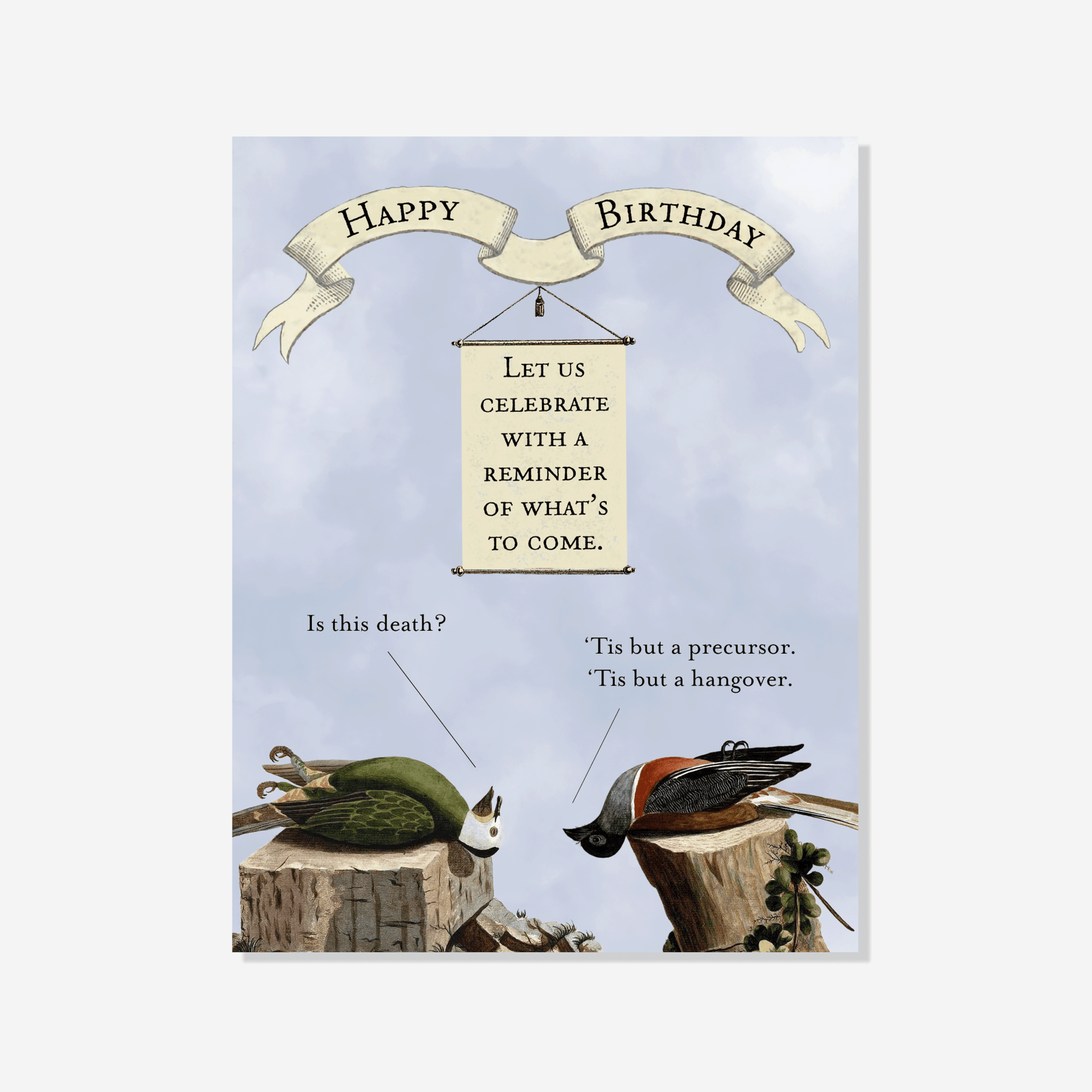 Hungover Birds Card - Box Turtle