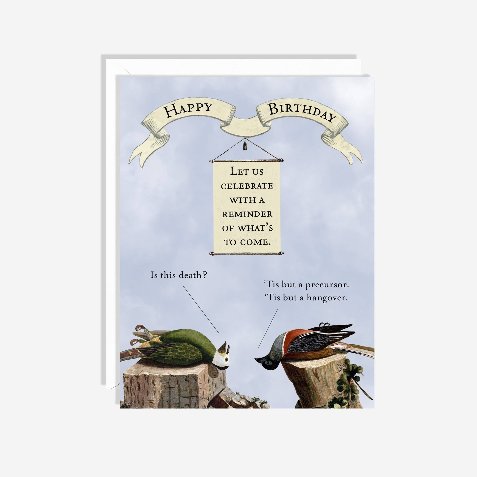 Hungover Birds Card - Box Turtle