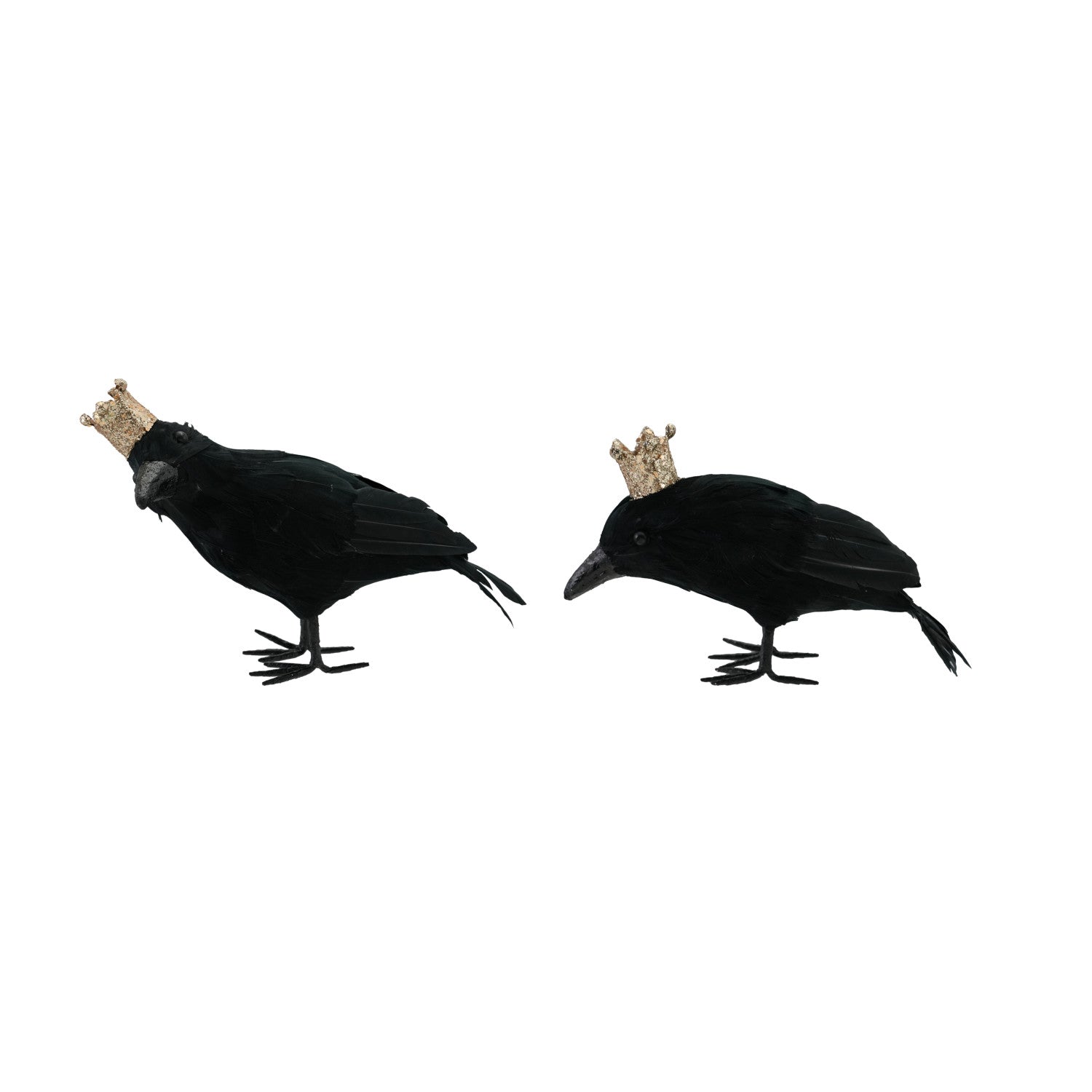 Feathers &amp; Crown Foam Crow