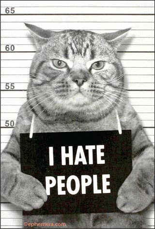 I hate people. - Box Turtle