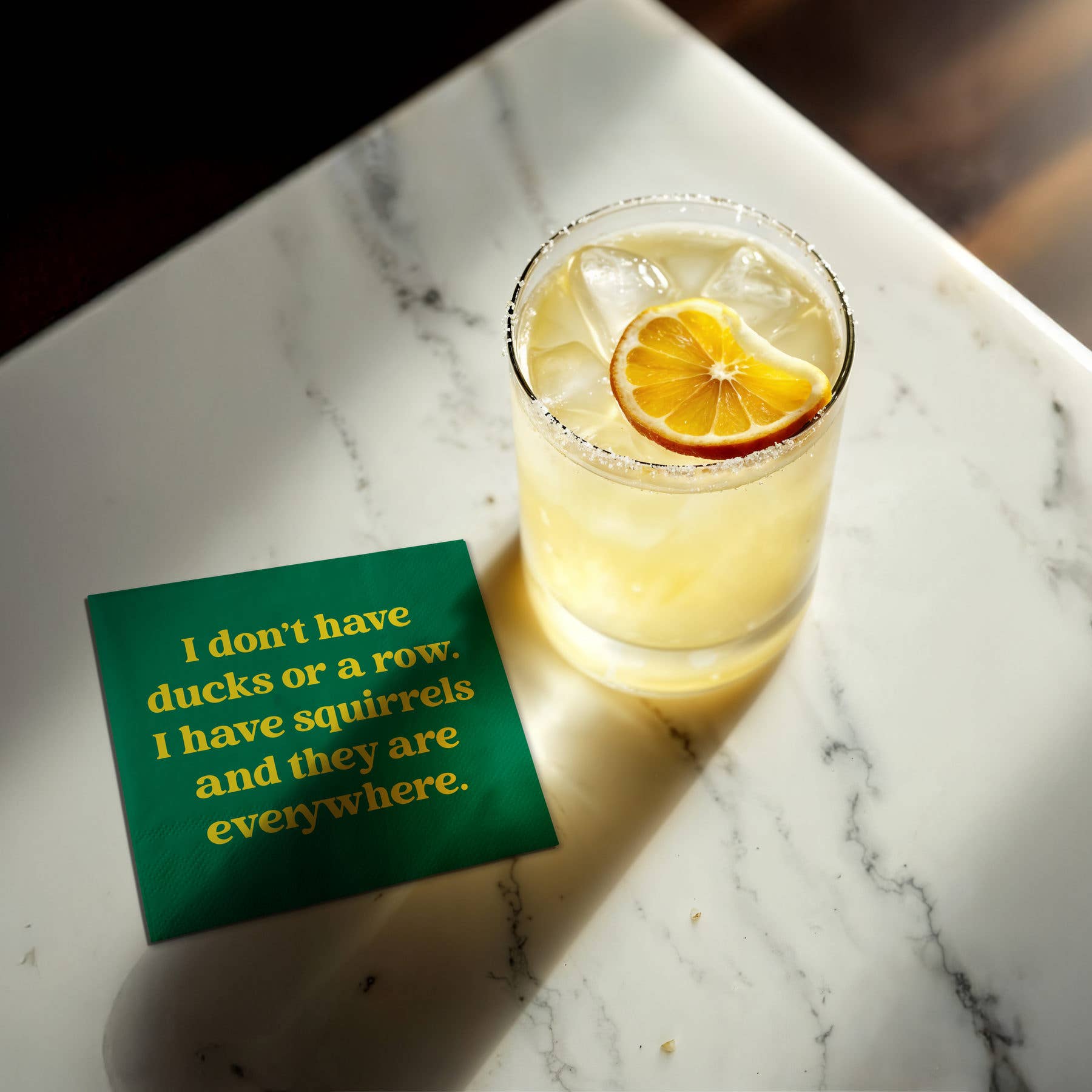 I Have Squirrels Funny Cocktail Napkins - Box Turtle