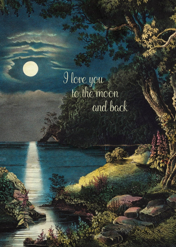 I Love You to the Moon & Back Card - Box Turtle