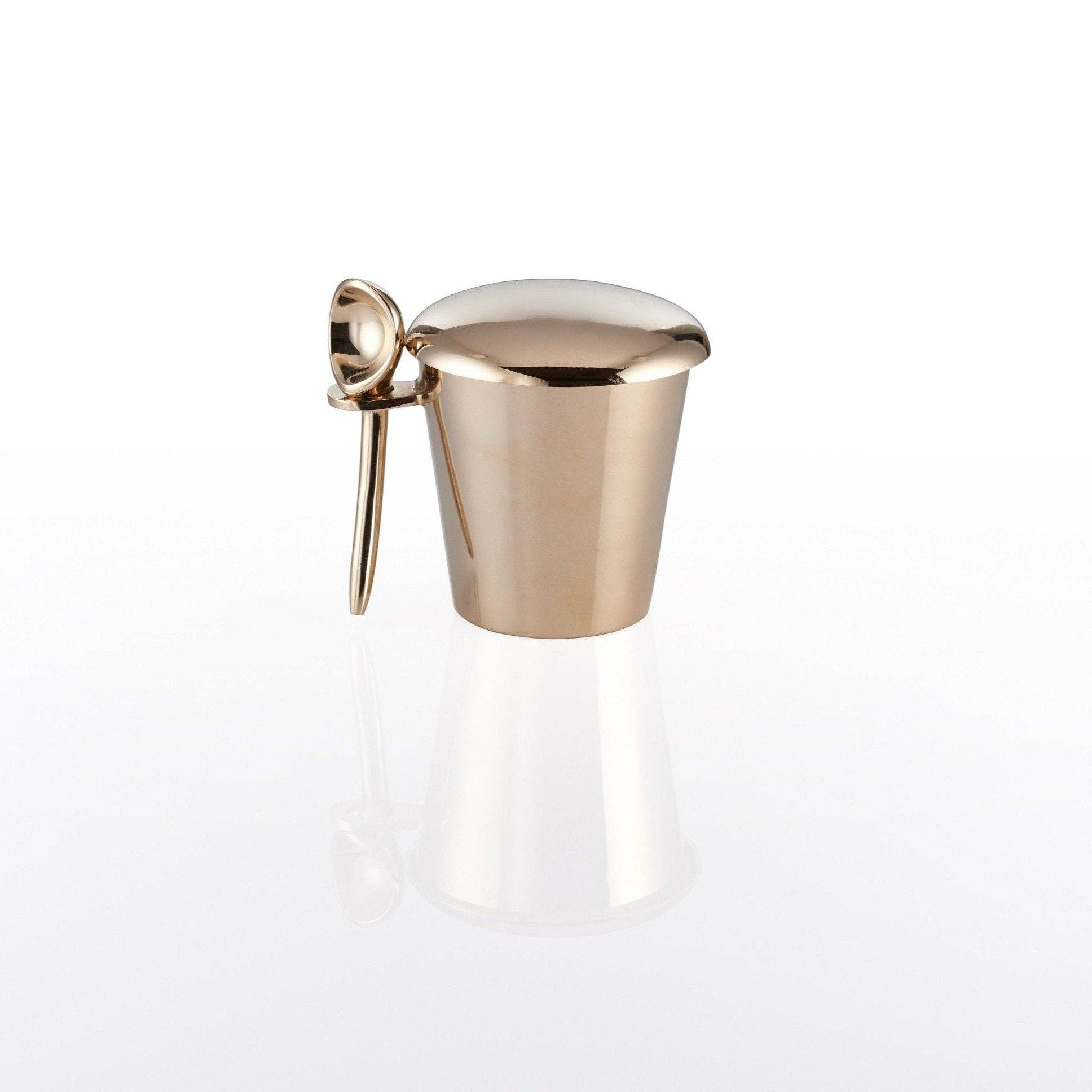 Ice Cream Pint Server - Box Turtle