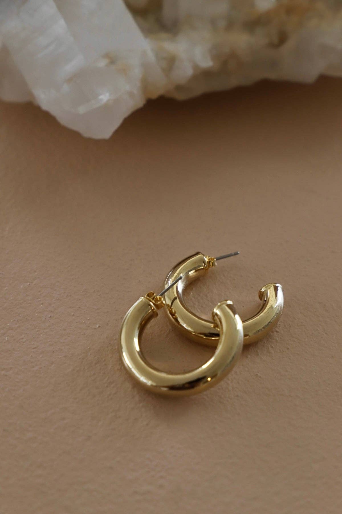 Icon Stud Hoops - Box Turtle