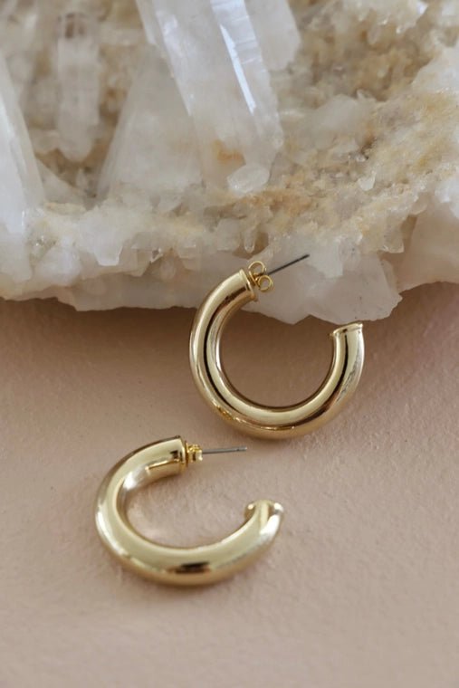 Icon Stud Hoops - Box Turtle