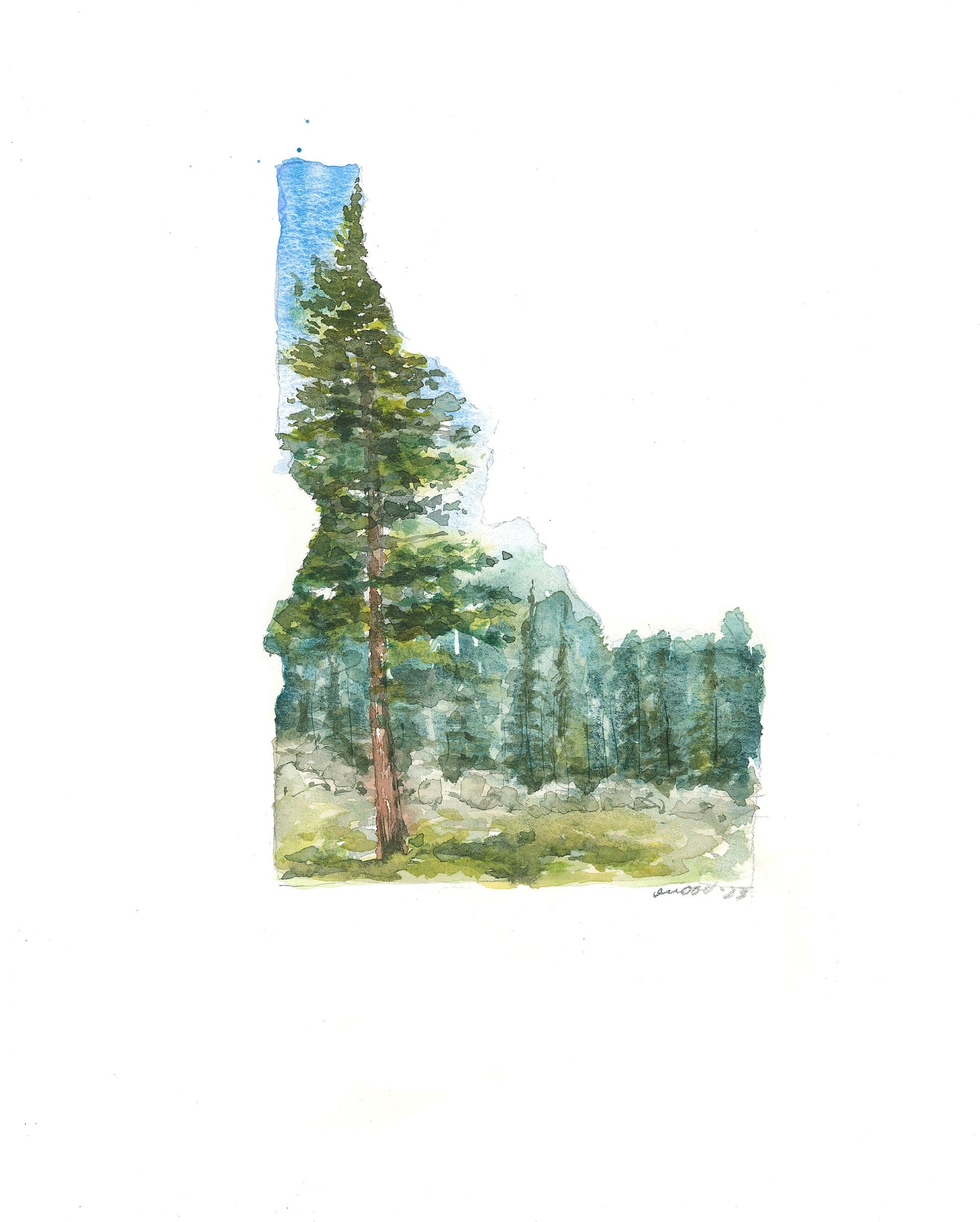 Emily Wood State Tree Watercolor Prints