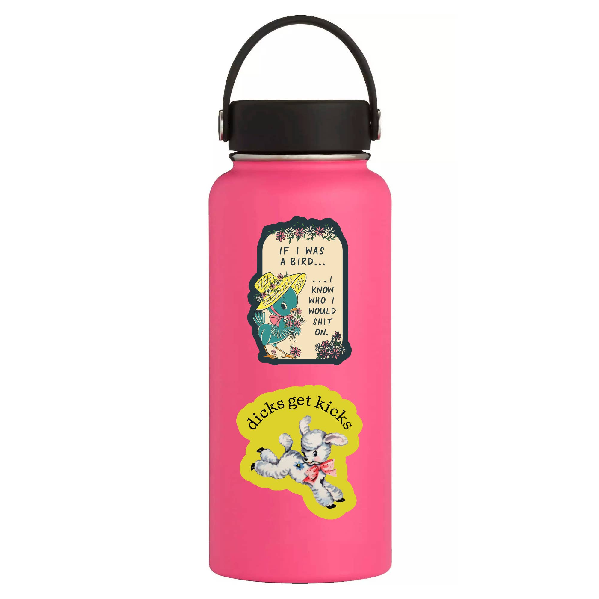 If I Was a Bird Funny Swear Vinyl Sticker - Box Turtle