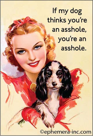 If my dog thinks you're an asshole - Box Turtle