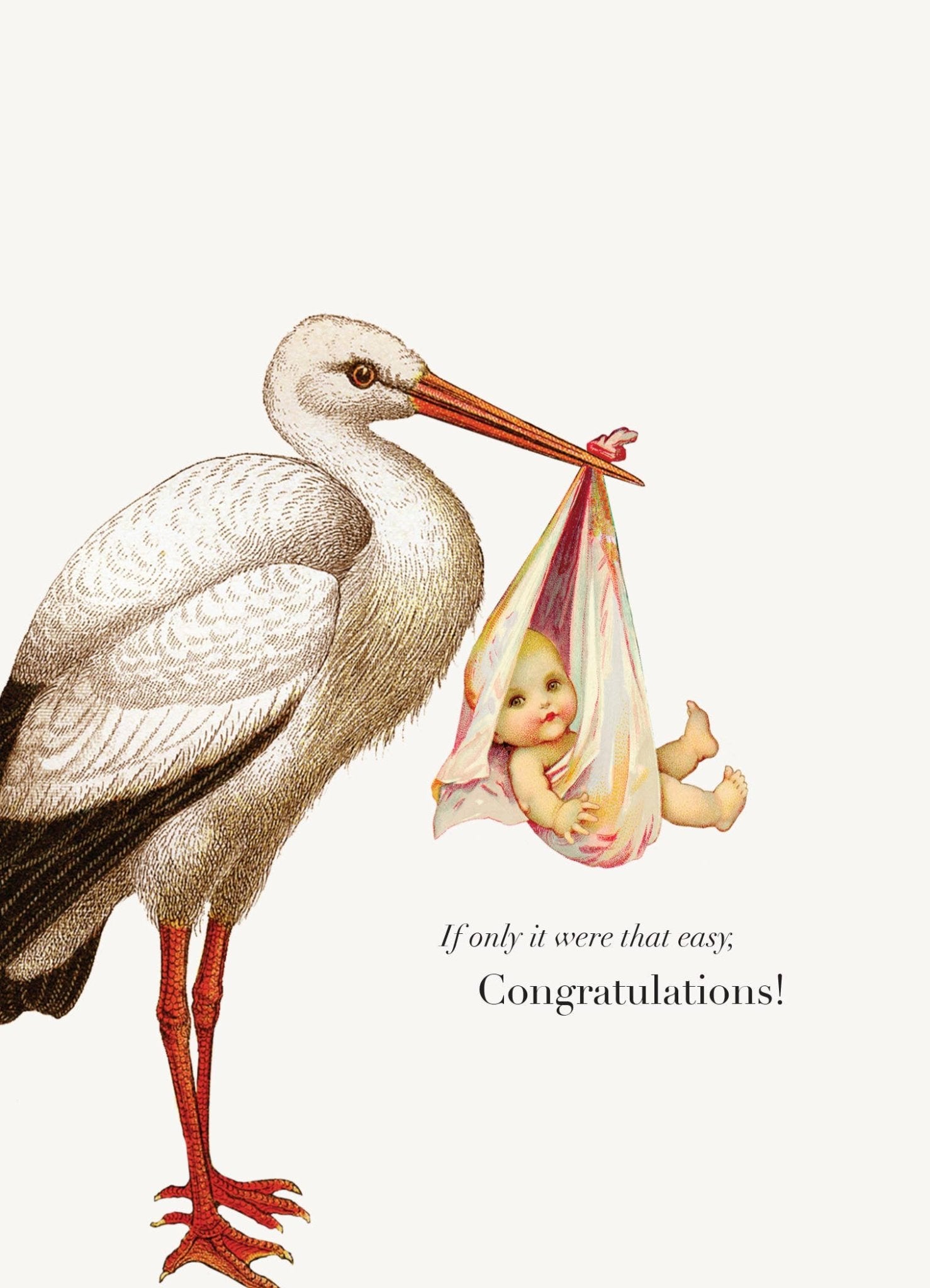 If Only It Were That Easy Baby Card - Box Turtle