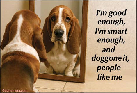 I'm good enough, I'm smart enough, doggone it….. - Box Turtle