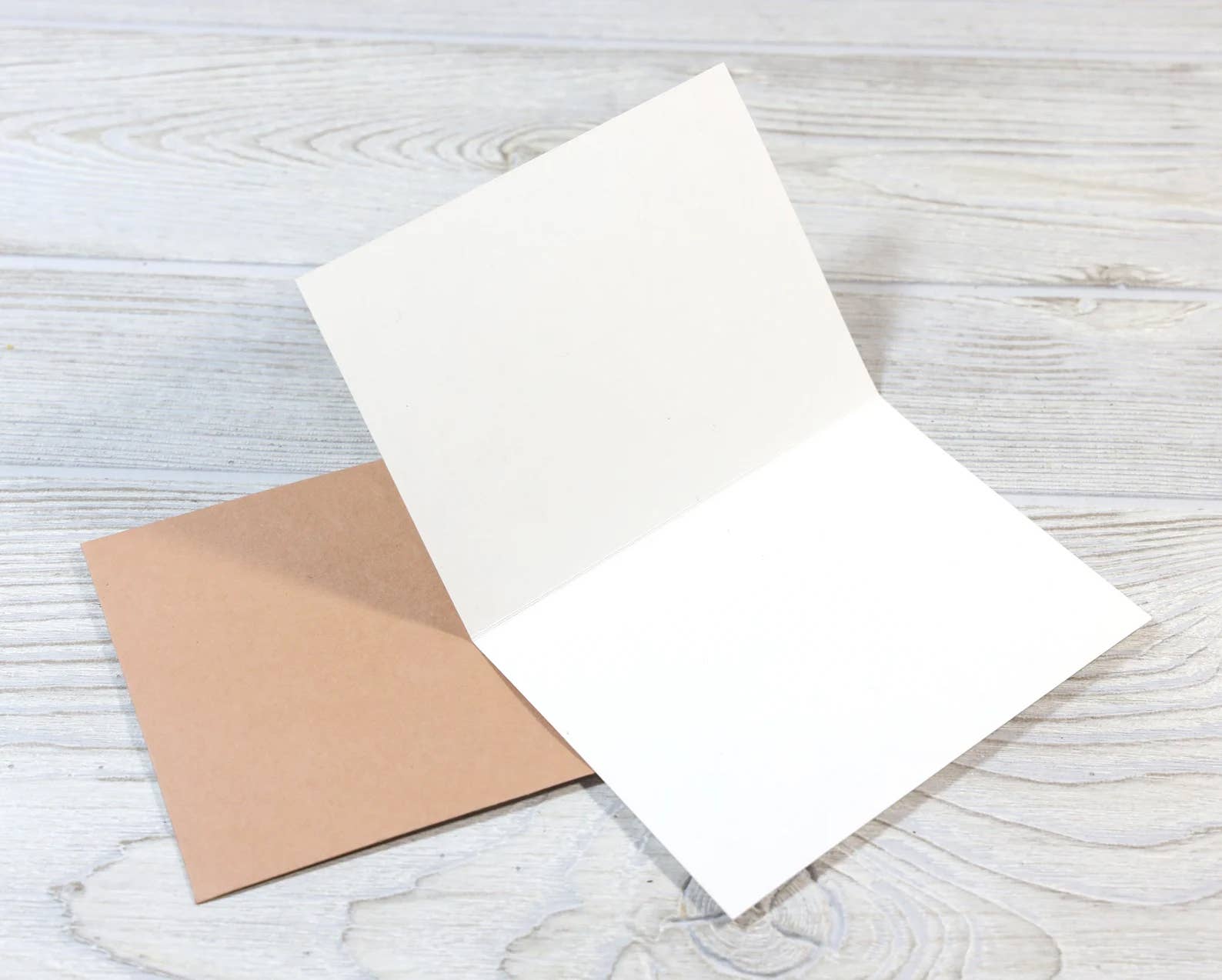 I'm Your Favorite Child Funny Mother's/Father's Day Card - Box Turtle