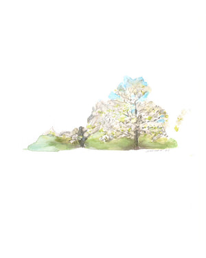 Emily Wood State Tree Watercolor Prints