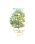 Emily Wood State Tree Watercolor Prints