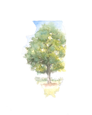 Emily Wood State Tree Watercolor Prints