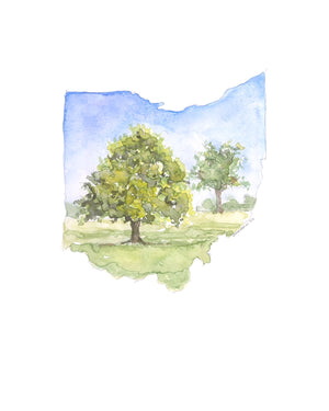 Emily Wood State Tree Watercolor Prints