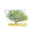 Emily Wood State Tree Watercolor Prints