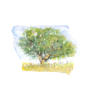 Emily Wood State Tree Watercolor Prints