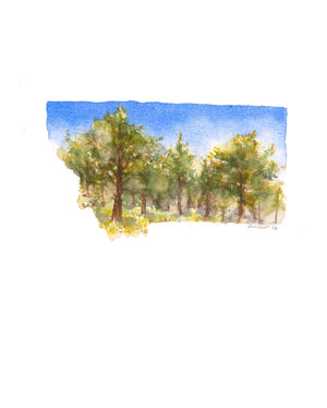 Emily Wood State Tree Watercolor Prints