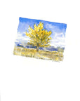 Emily Wood State Tree Watercolor Prints
