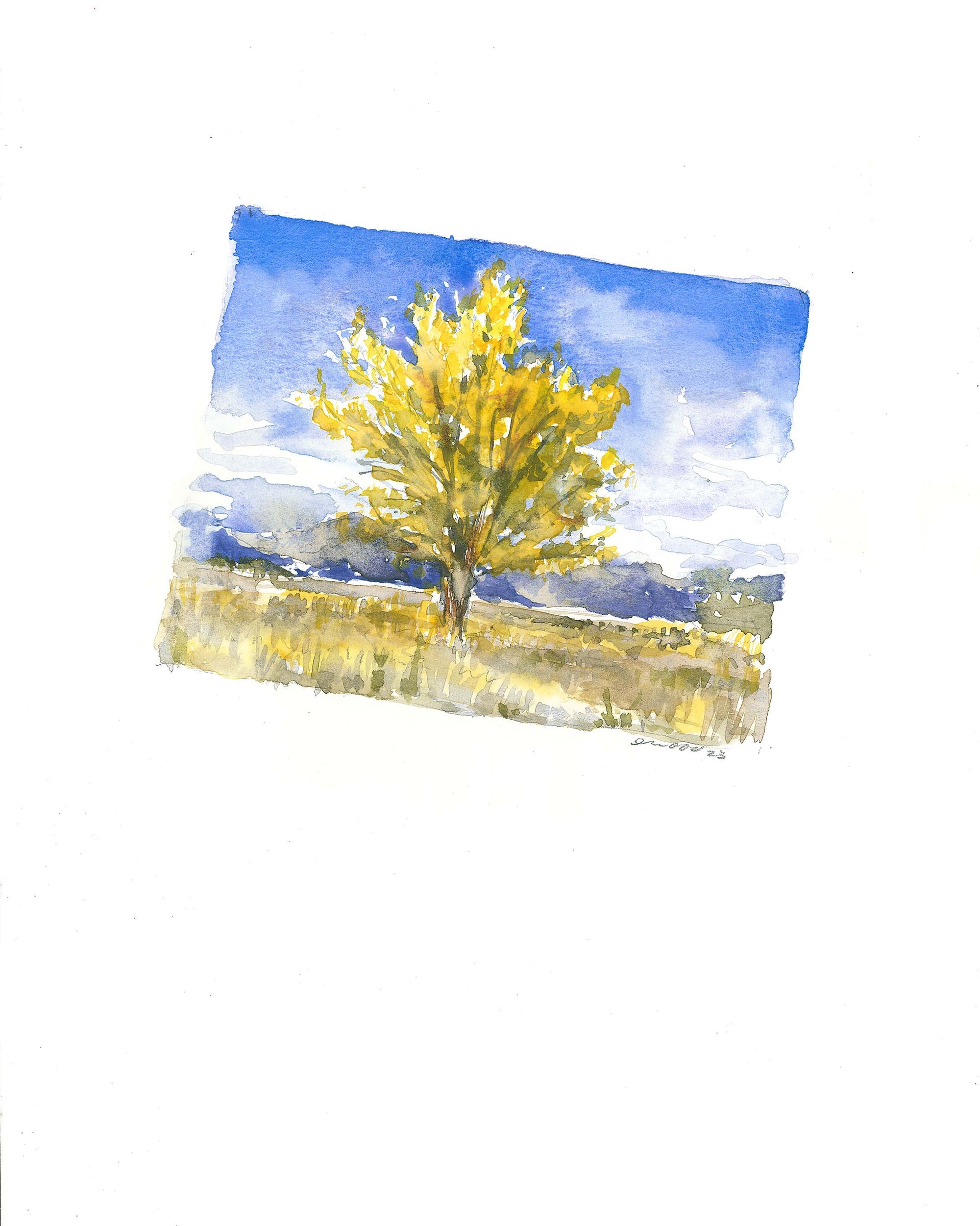 Emily Wood State Tree Watercolor Prints