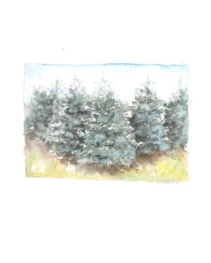 Emily Wood State Tree Watercolor Prints