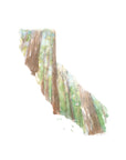 Emily Wood State Tree Watercolor Prints
