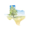 Emily Wood State Tree Watercolor Prints