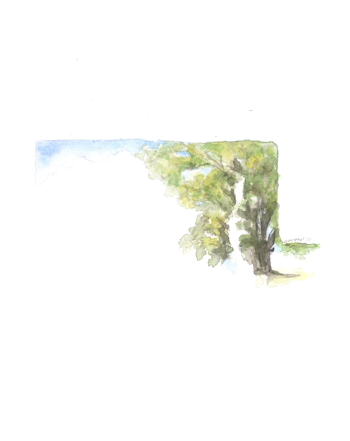 Emily Wood State Tree Watercolor Prints