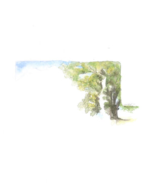 Emily Wood State Tree Watercolor Prints