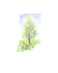 Emily Wood State Tree Watercolor Prints