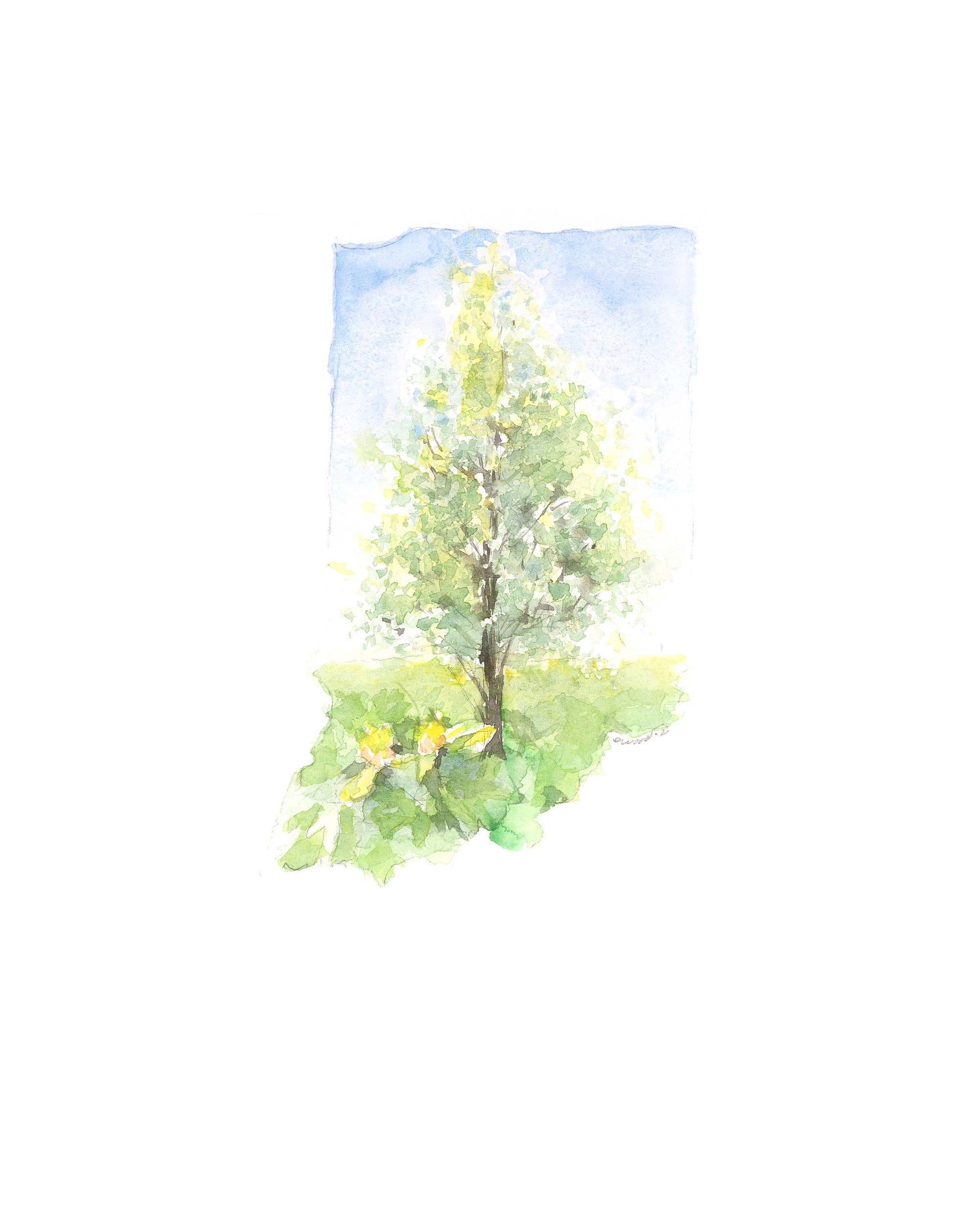 Emily Wood State Tree Watercolor Prints