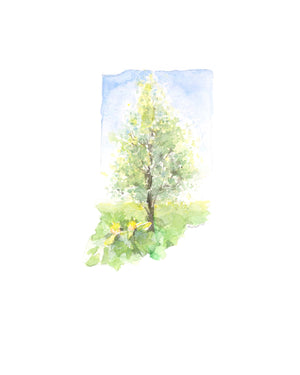 Emily Wood State Tree Watercolor Prints