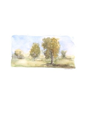 Emily Wood State Tree Watercolor Prints