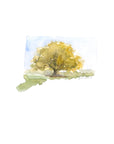 Emily Wood State Tree Watercolor Prints