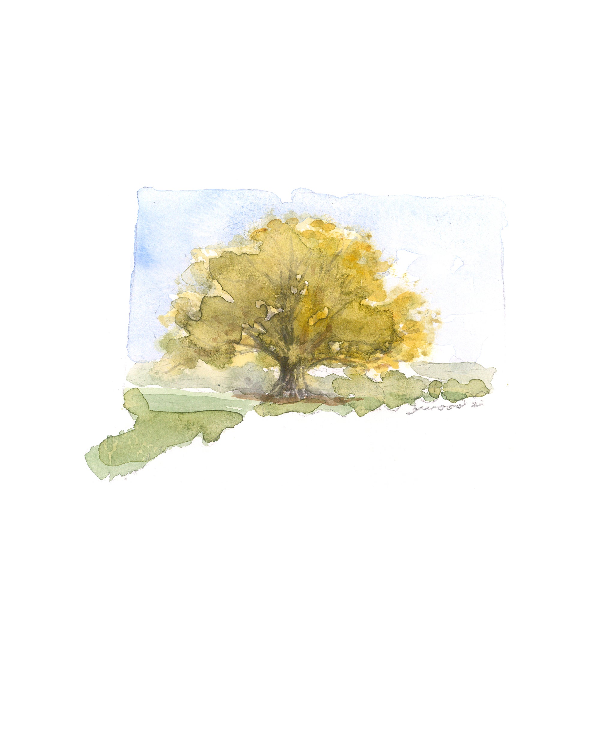 Emily Wood State Tree Watercolor Prints