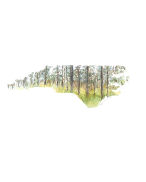 Emily Wood State Tree Watercolor Prints