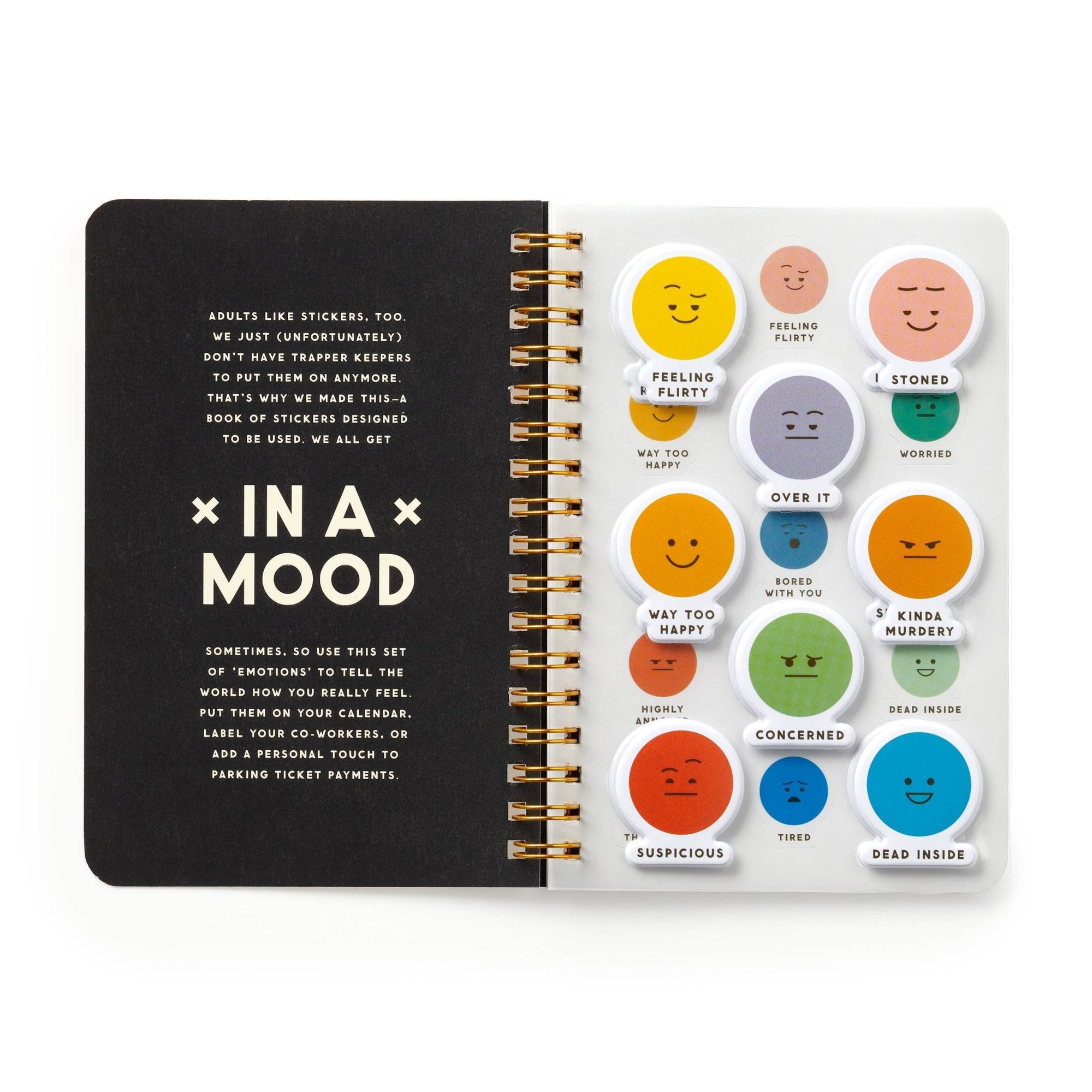 In A Mood Sticker Book - Box Turtle