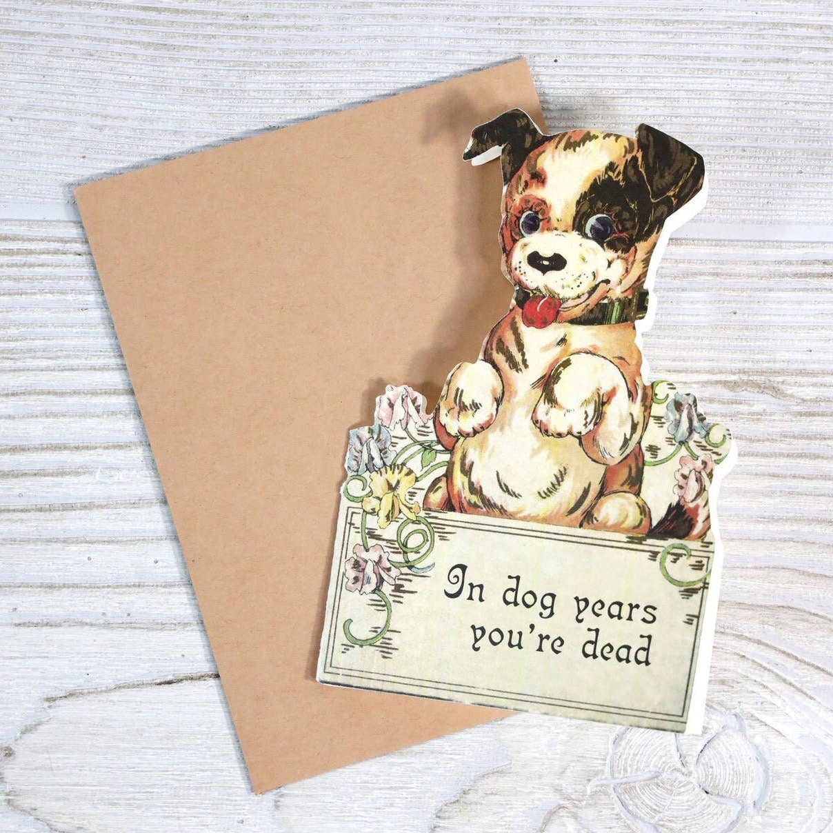 In Dog Years You're Dead Birthday Card - Box Turtle