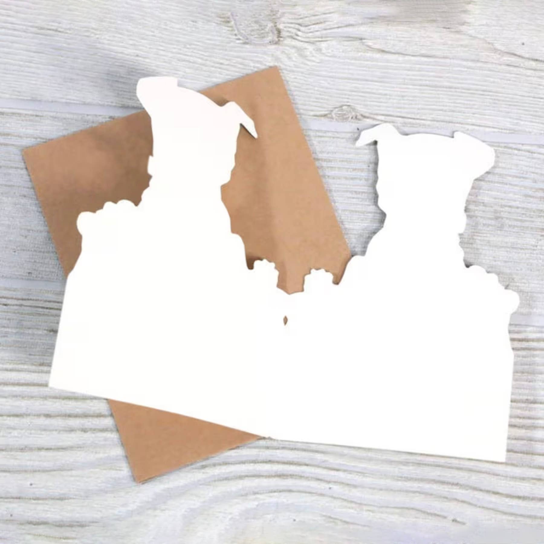 In Dog Years You're Dead Birthday Card - Box Turtle