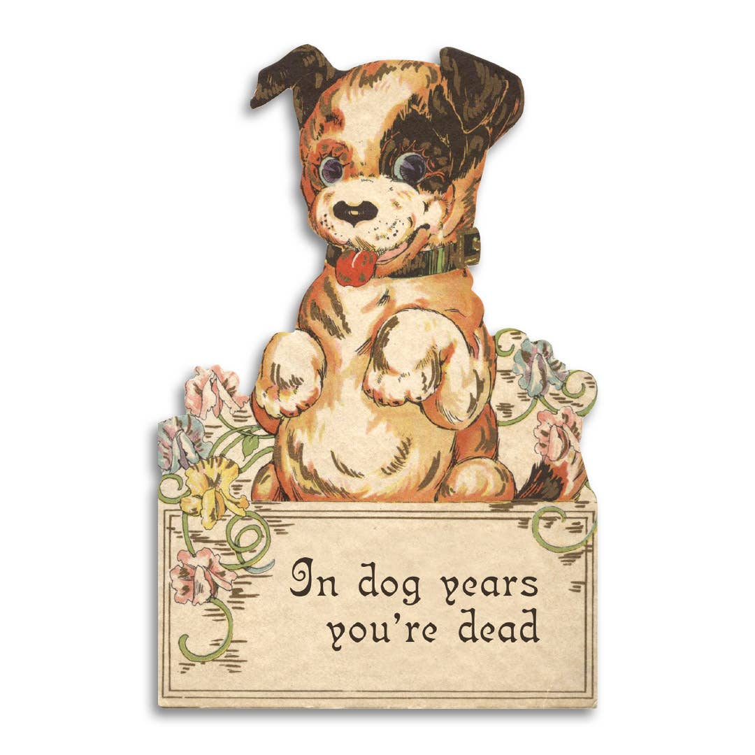 In Dog Years You're Dead Birthday Card - Box Turtle