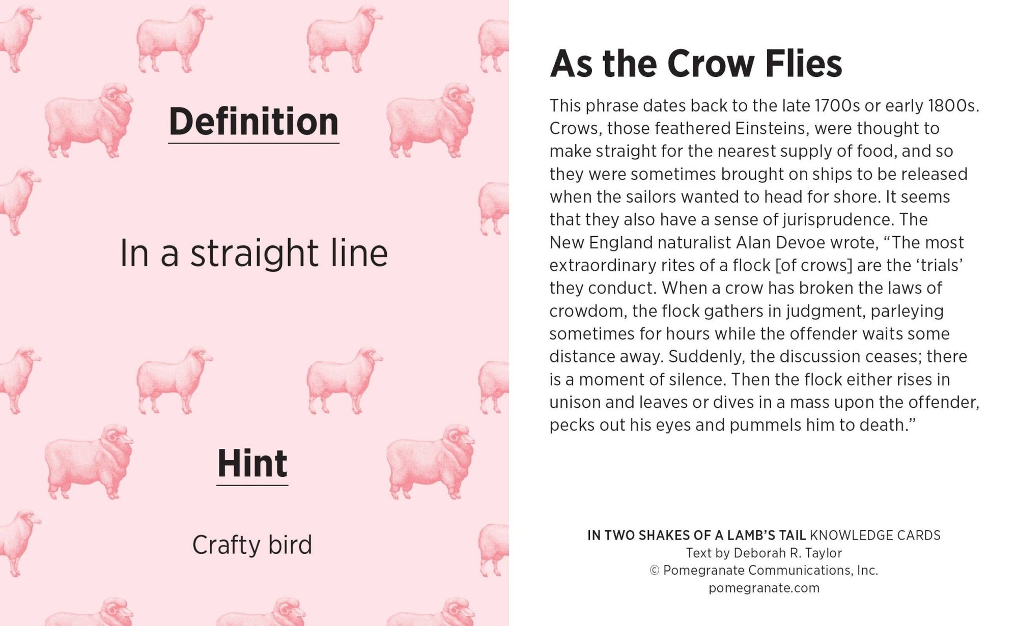 In Two Shakes of a Lamb's Tail Knowledge Card Game - Box Turtle