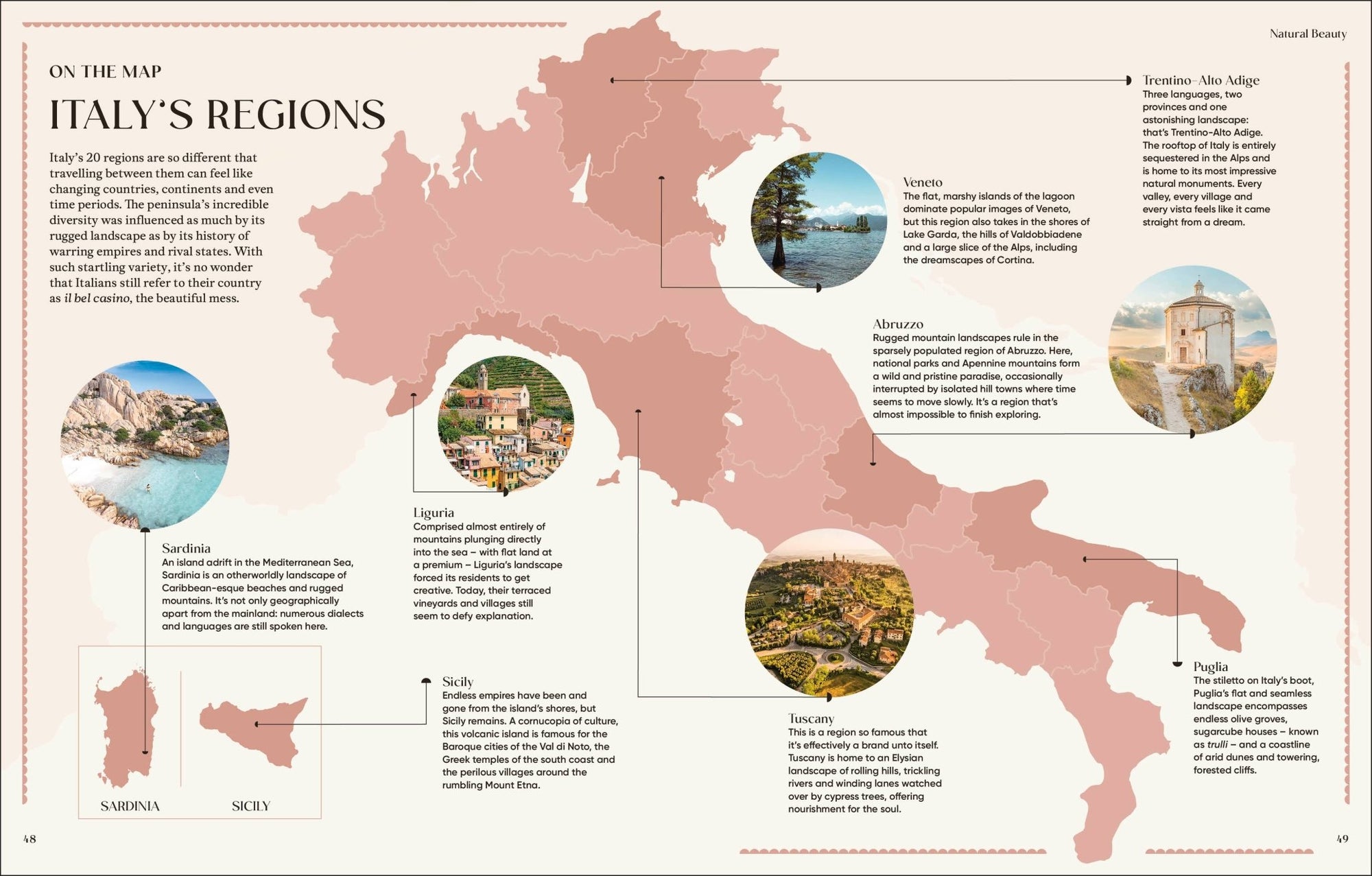 Italian Way - Box Turtle