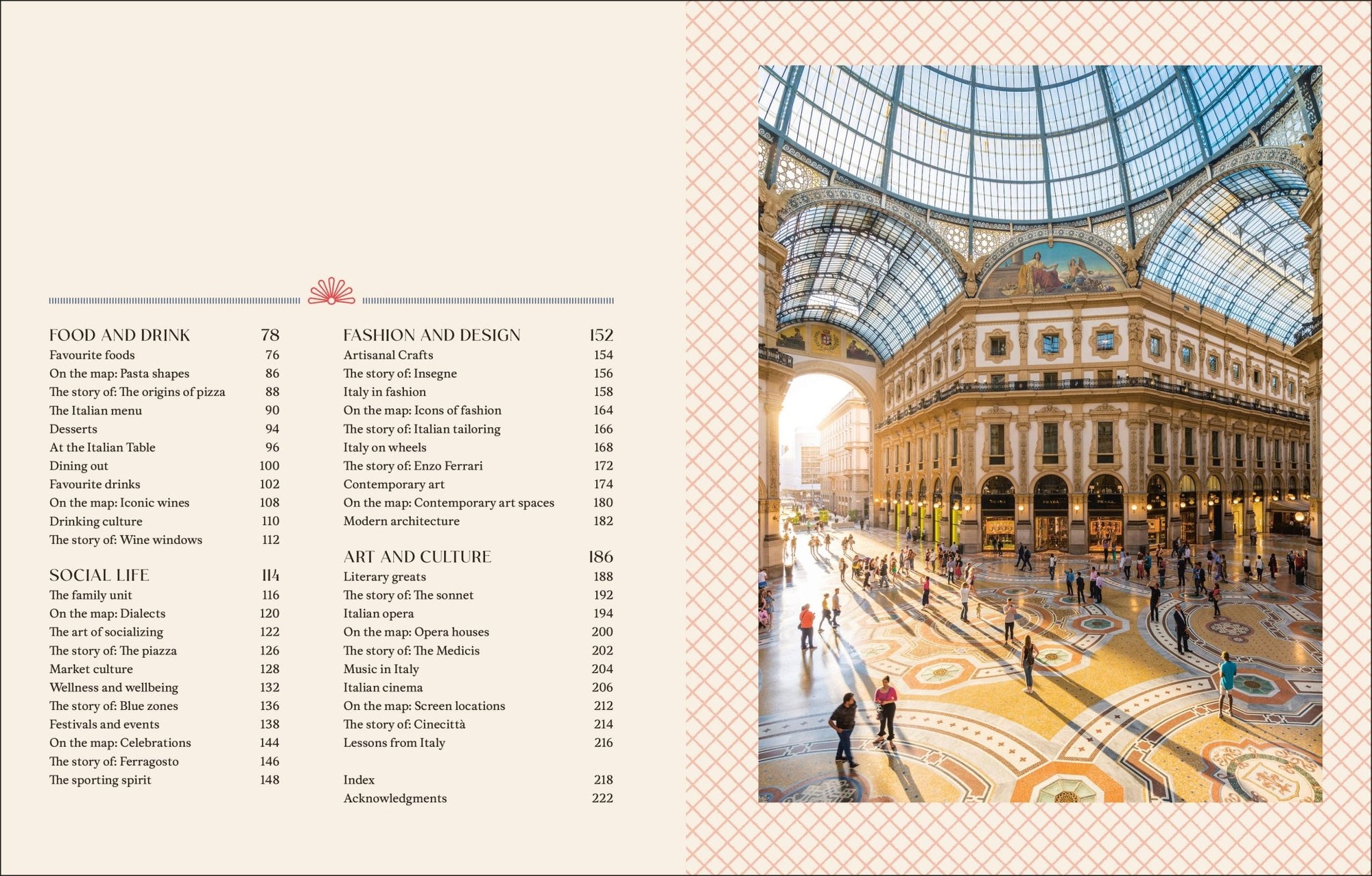 Italian Way - Box Turtle