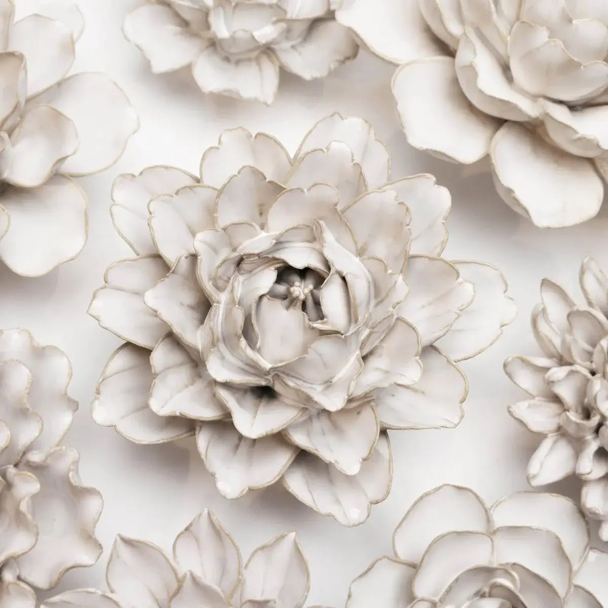 Ivory Comanche Peony Table Top Decoration - Box Turtle