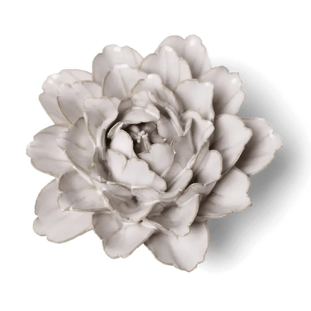 Ivory Comanche Peony Table Top Decoration - Box Turtle