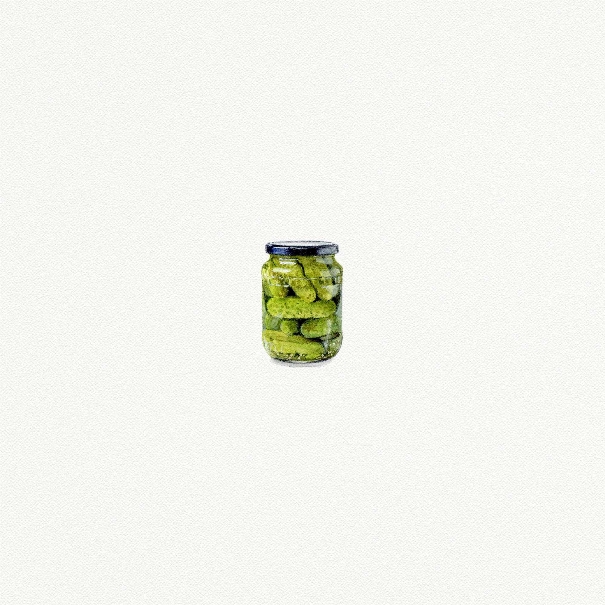 Jar of Pickles Miniature Watercolor Print - Box Turtle