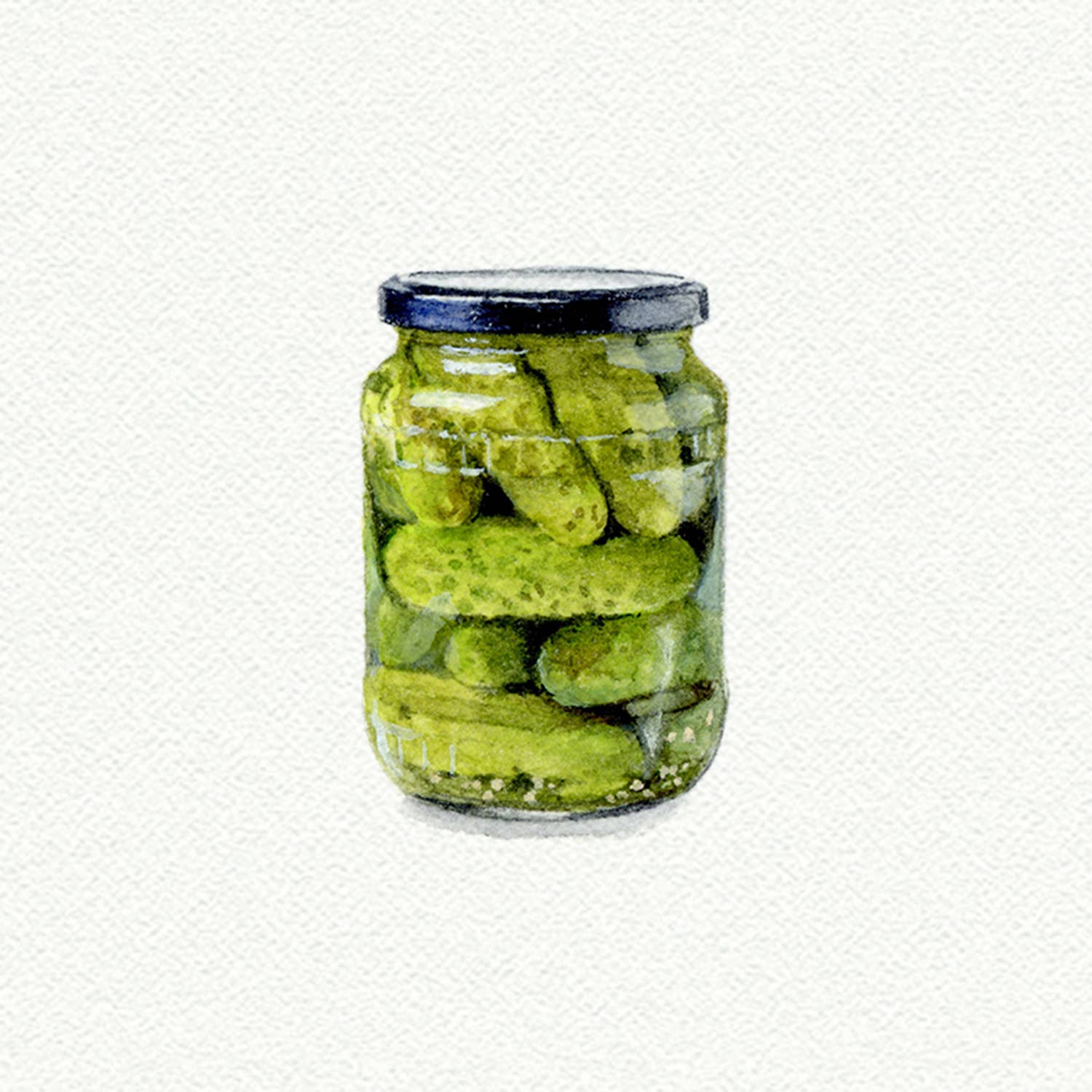 Jar of Pickles Miniature Watercolor Print - Box Turtle